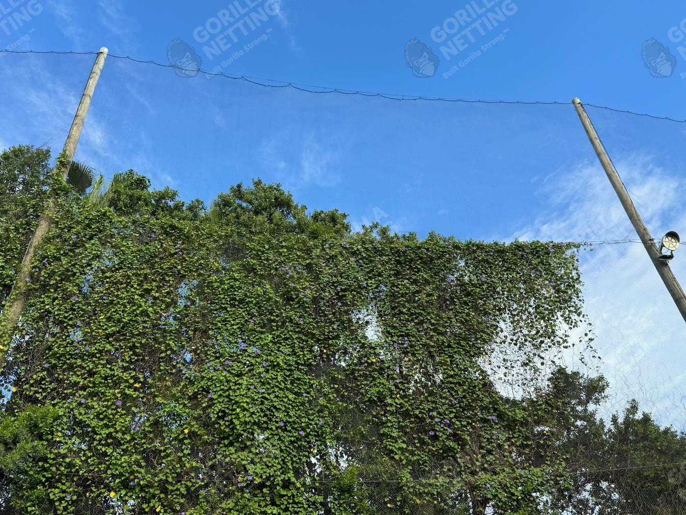 Driving Range Netting Installation at Ocean Reef Club