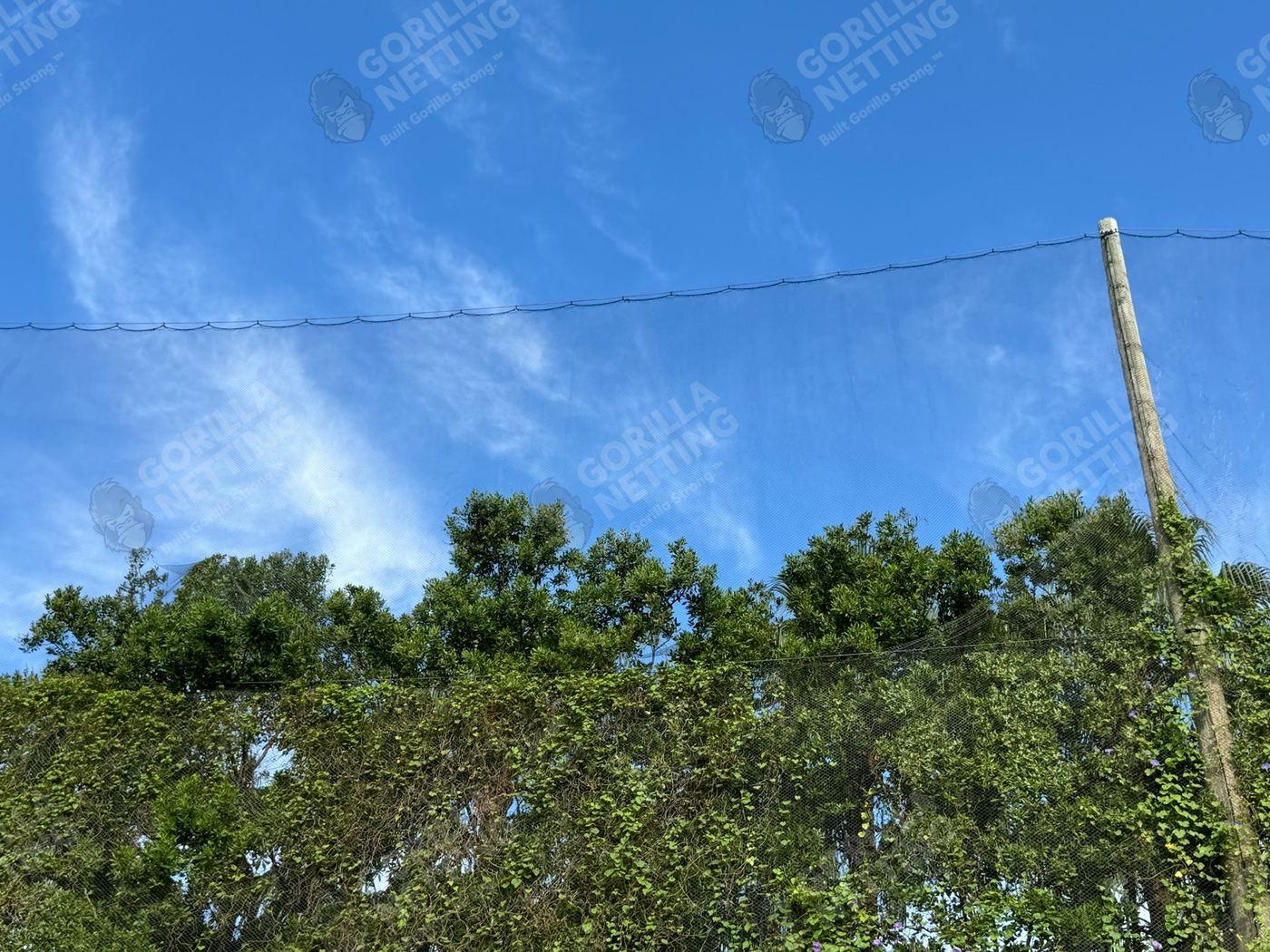 Driving Range Netting Installation at Ocean Reef Club