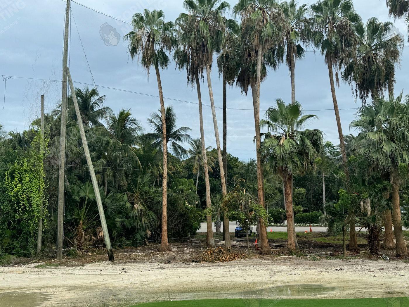 Driving Range Netting Installation at Ocean Reef Club