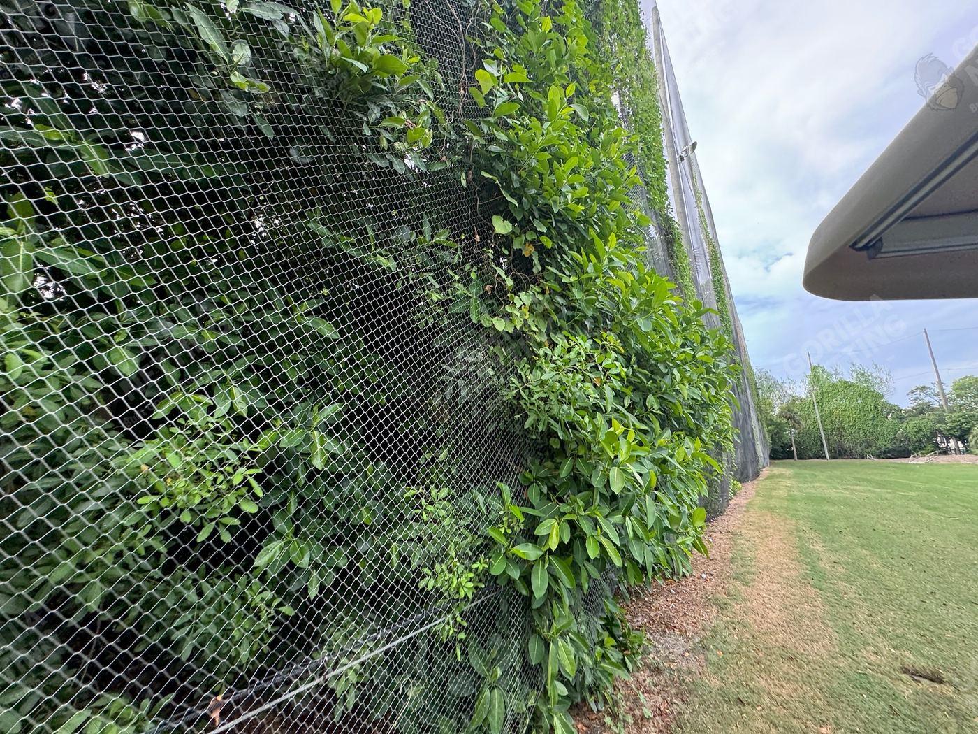 Driving Range Netting Installation at Ocean Reef Club