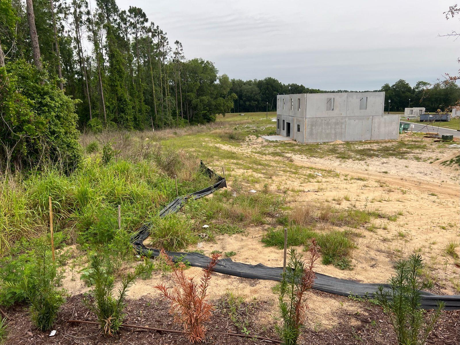 Before: Tree line beside a new home community under construction, before any poles went in. Concrete Pole Setting at an ONX Homes Community