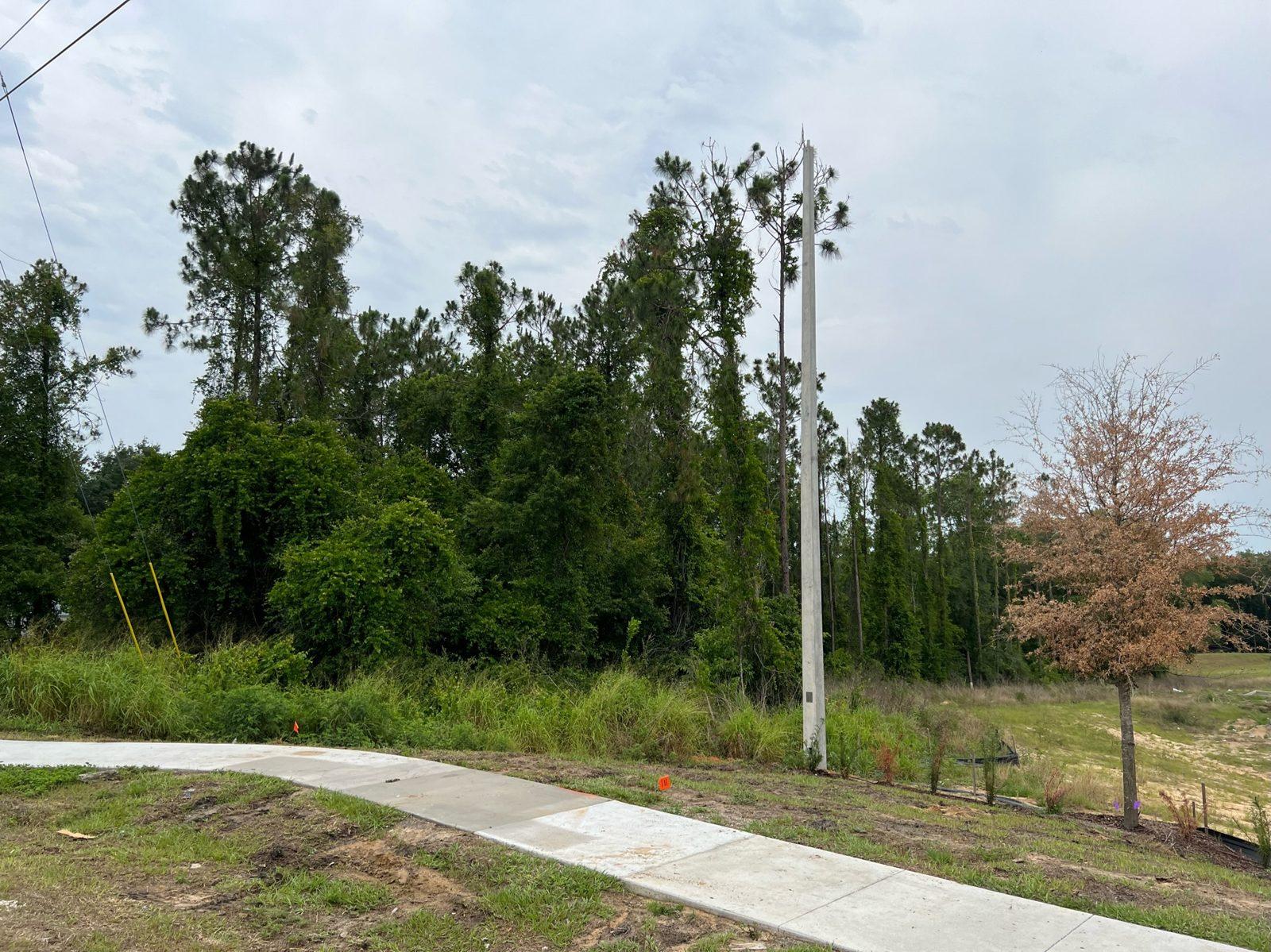 Before: Tree line beside a new home community under construction, before any poles went in. Concrete Pole Setting at an ONX Homes Community