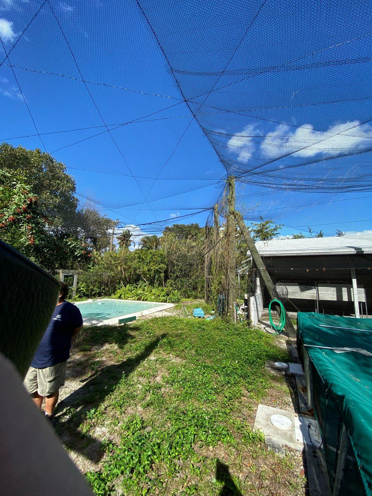 Before: The enclosure at the site walk: overhead net over a pool, pens, and wood poles. Aviary Netting at South Florida Wildlife Center