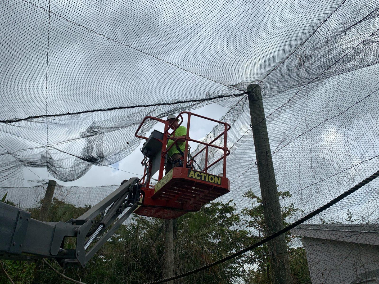 During: Crew member working at a pole top where the net panels meet. Aviary Netting at South Florida Wildlife Center