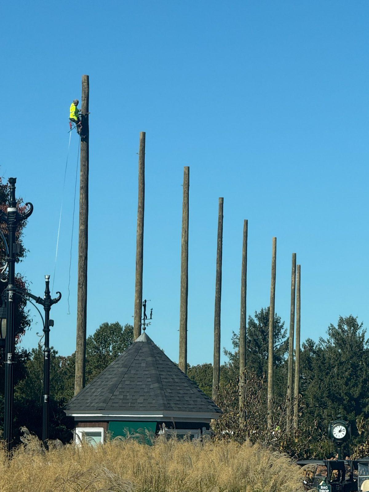 During: Line of new poles standing, crew member climbing to rig the top. Driving Range Netting at Southward Ho Country Club